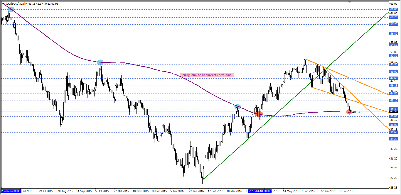 ham petrol gunluk