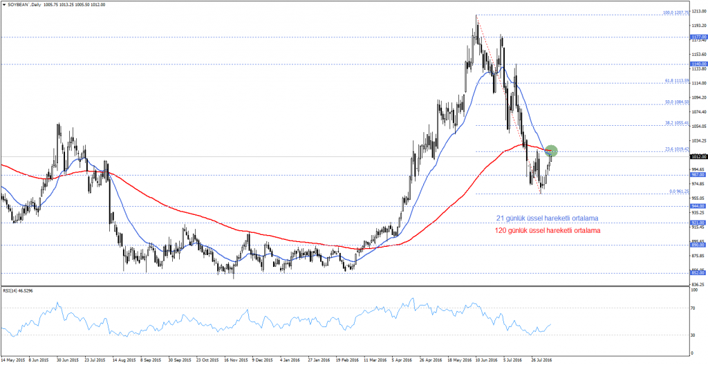 SOYBEAN`Daily