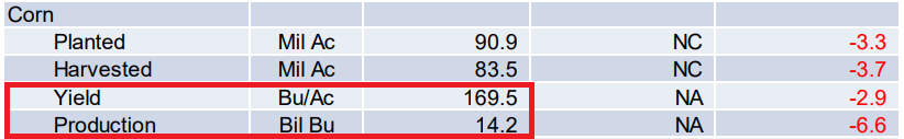 corn production