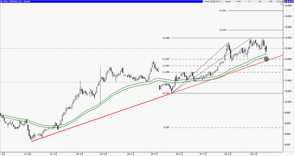 tcell