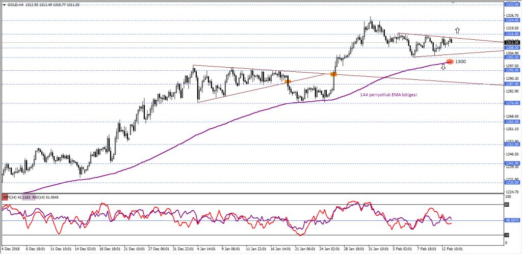 Ons Altin