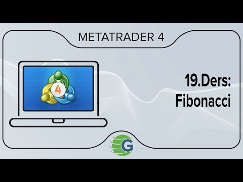 19.Ders: Fibonacci