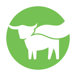 Beyond Meat