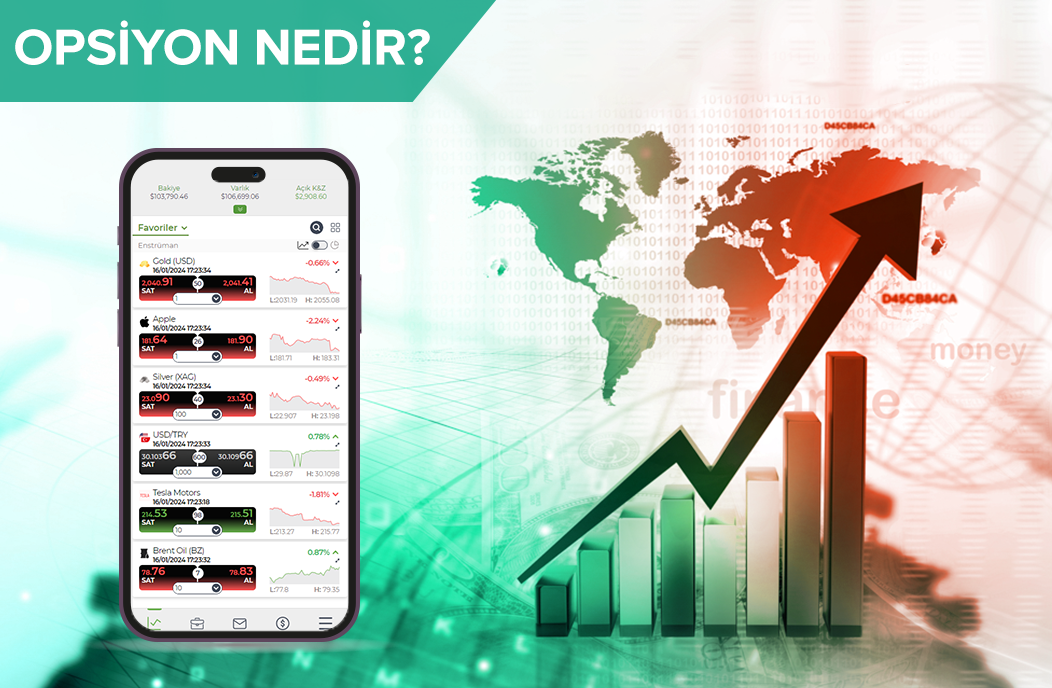 Opsiyon Nedir