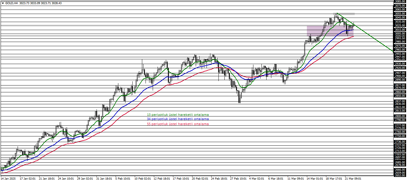 ONS ALTIN