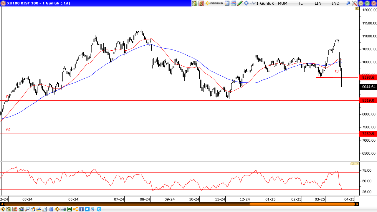 BİST100