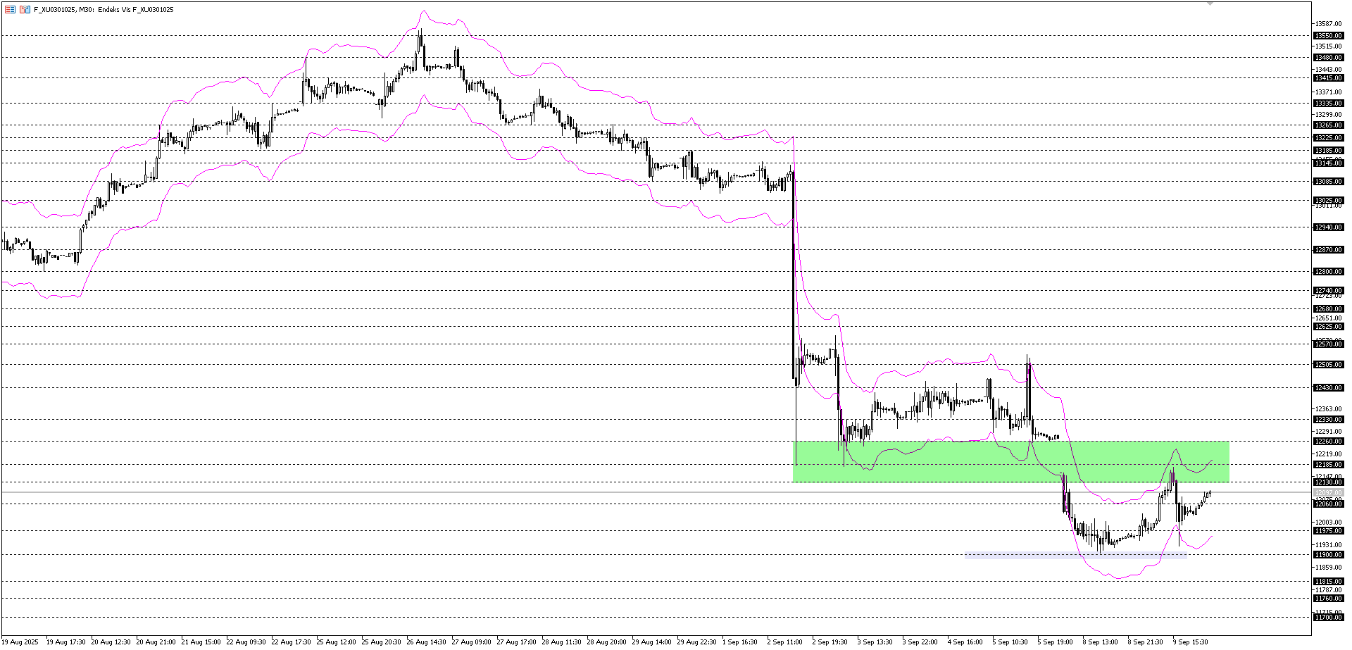 BİST30 KONTRATI (VİOP)