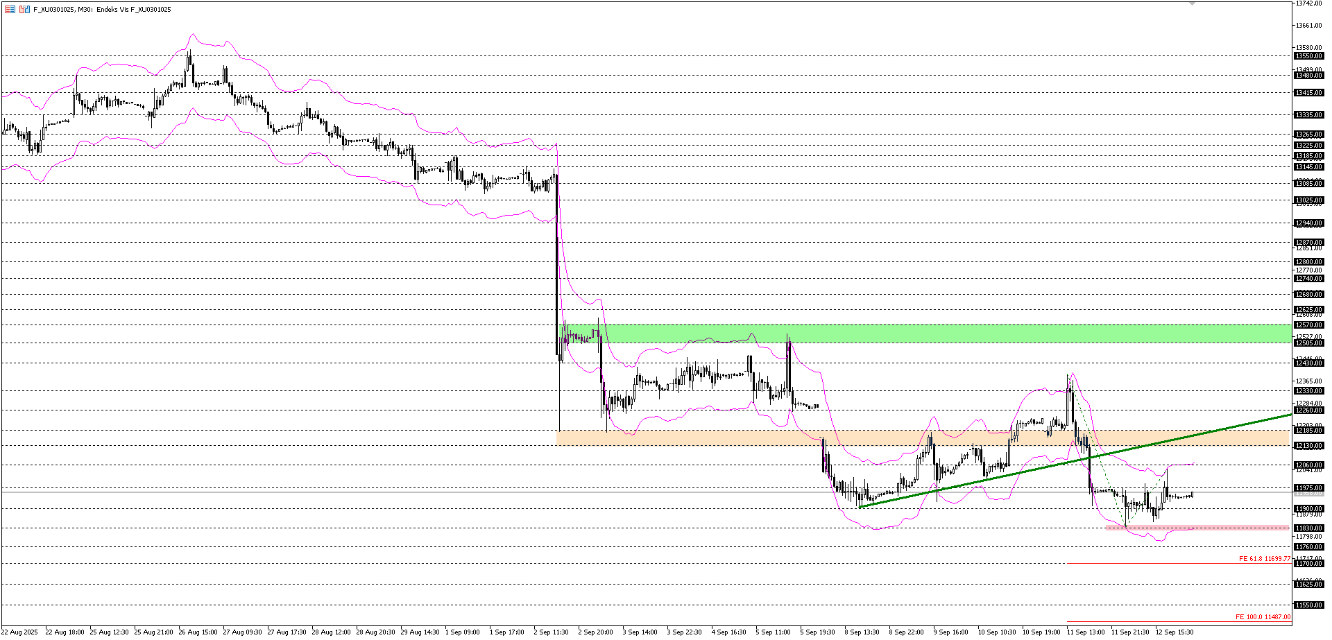 BİST30 KONTRATI (VİOP)