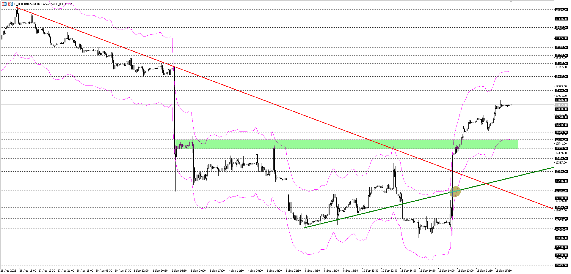 BİST30 KONTRATI (VİOP)