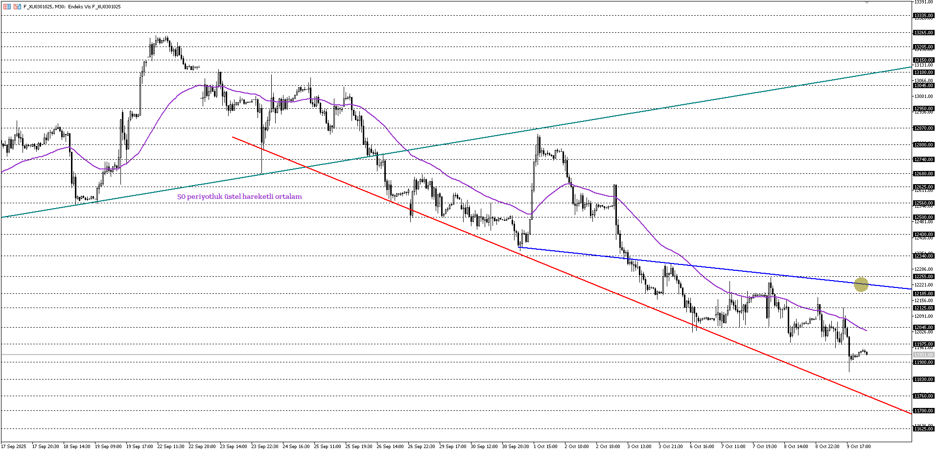 BİST30 KONTRATI (VİOP)