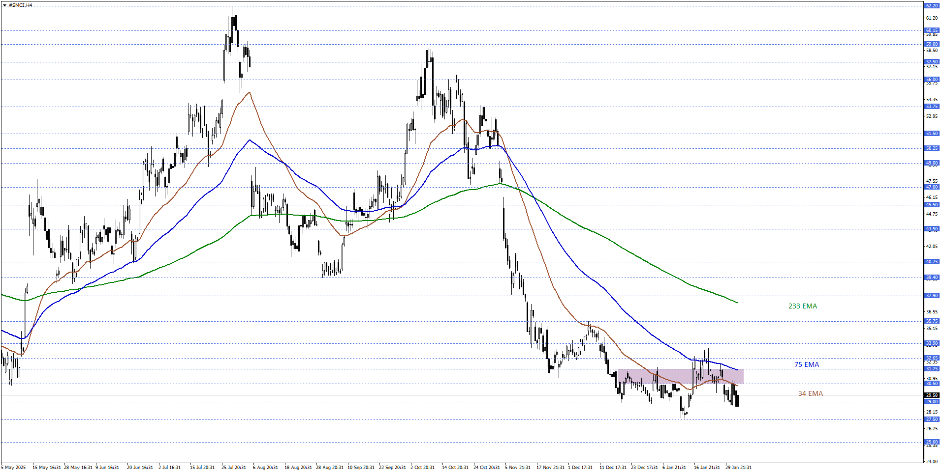 SUPER MICRO COMPUTER