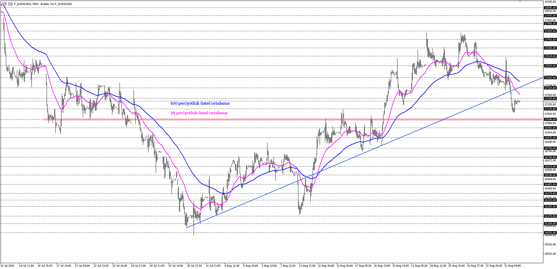 BİST30 KONTRATI (VİOP)