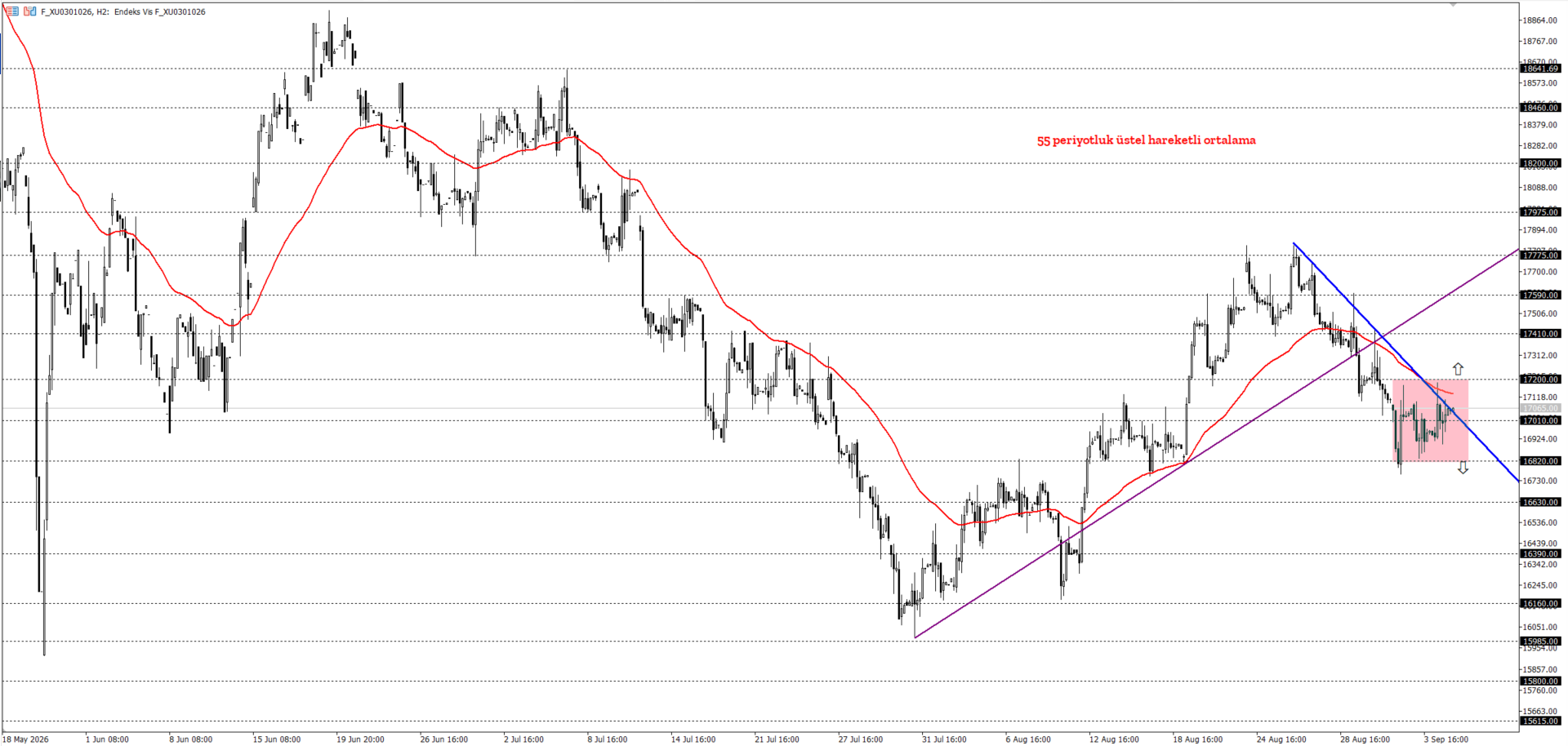 BİST30 KONTRATI (VİOP)