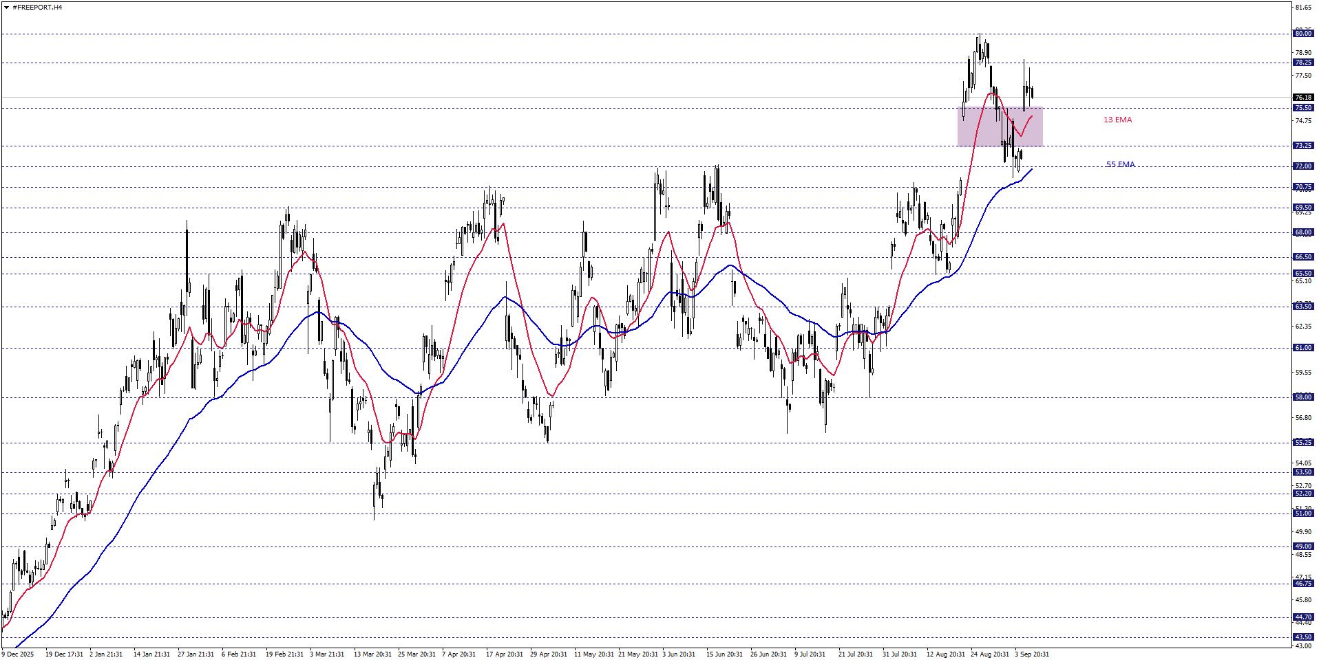 FREEPORT MCMORAN
