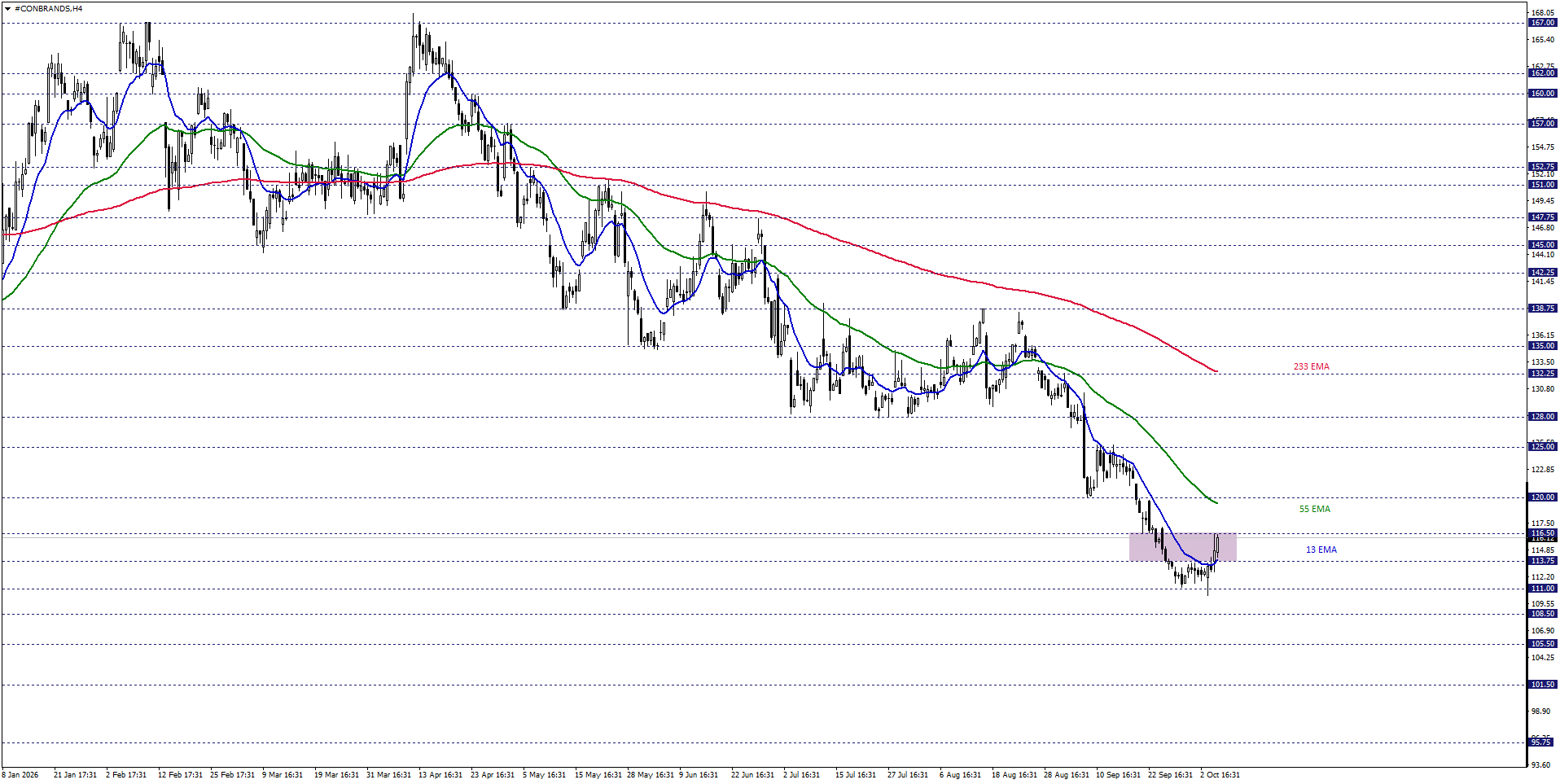 CONSTELLATION BRANDS