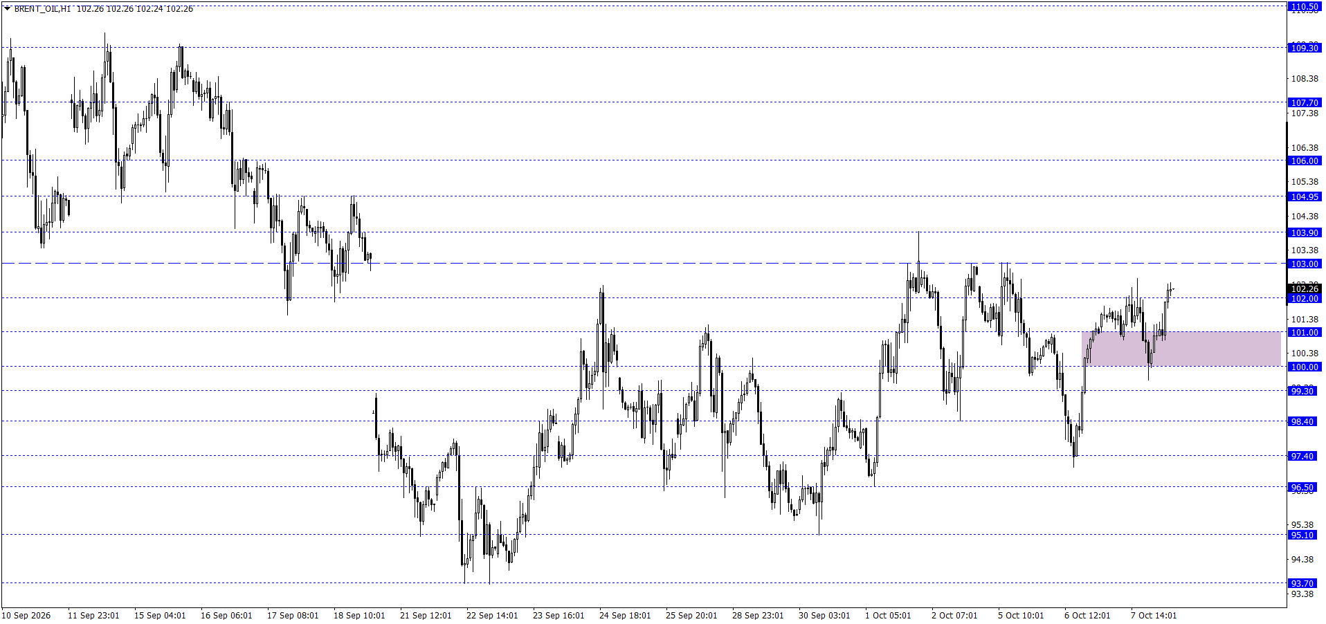 BRENT PETROL