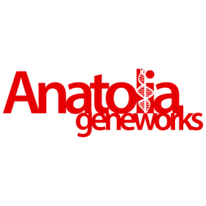 ANGEN Hisse - Anatolia Tanı ve Biyoteknoloji Ürünleri Araştırma Geliştirme Sanayi ve Ticaret A.Ş.
