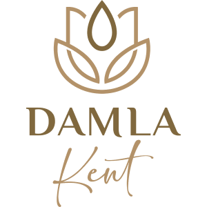 DMLKTG Hisse - Damla Kent Projesi Gayrimenkul Sertifikası