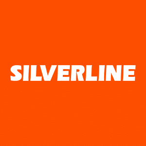 SILVR Hisse - Silverline Endustri ve Ticaret A.Ş.